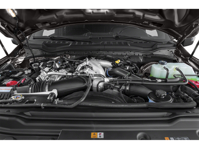 2020 Ford F-250SD Platinum