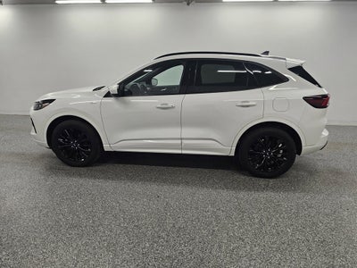 2025 Ford Escape ST-Line Elite